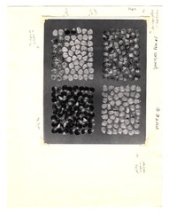 [Unpublished index of corn specimens] (section 3, image 6)