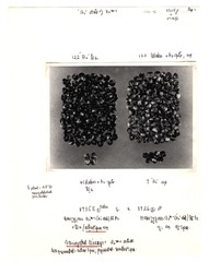 [Unpublished index of corn specimens] (section 3, image 10)