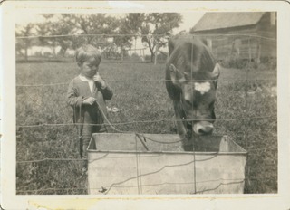 Victor McKusick, approximately age 4, with Alice, the family cow