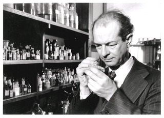 Linus Pauling examining a crystal