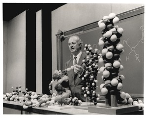 Linus Pauling speaking in a lecture hall