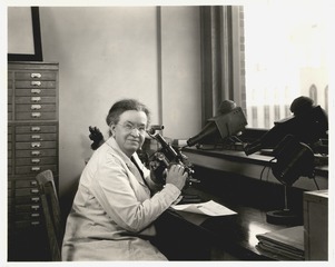 Sabin sitting at a lab bench with a microscope at the Rockefeller Institute