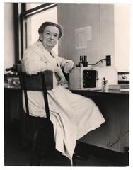 Sabin seated at lab bench, working with slides