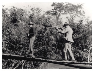Fred L. Soper and Alexander W. Burke crossing a bridge to investigate an area where yellow fever occurred without the Aedes aegypti mosquito