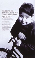 It's Time to Tell Your Kids about the Birds and the Bees. And AIDS [image 3]