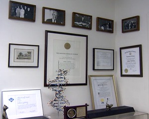 Certificates and Photographs in Dr. Lederberg's Rockefeller University Office