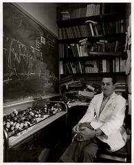 Marshall Nirenberg in office with chalkboard and molecular models