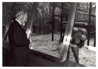 C. Everett Koop with "Chickie", an orangutan at the Memphis Zoo