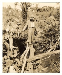 Wilbur A. Sawyer crossing a bridge to inspect the site of a yellow fever infection near Coronel Ponce, Mato Grosso, Brazil
