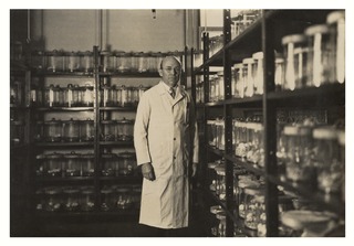 Wilbur A. Sawyer in the mouse room at the yellow fever laboratory, Rockefeller Institute