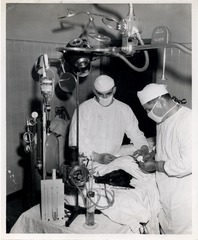 Adrian Kantrowitz in dog lab during development of first LVAD
