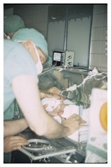Doctor checking baby in incubator