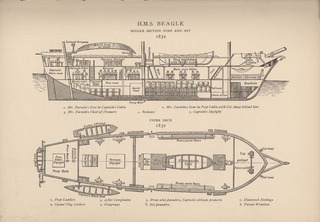 H.M.S. Beagle: middle section fore and aft 1832, upper deck 1832