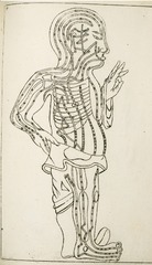 [Drawing of the human body showing acupuncture meridians]