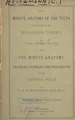 The minute anatomy of the teeth in the light of the bioplasson theory