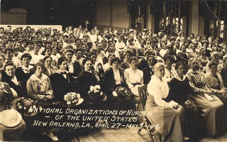National Organizations of Nurses of the United States