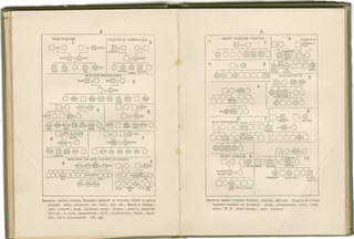 [Davenport's transmission of inherited traits. Part 2]