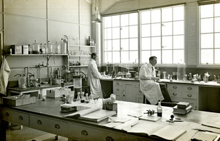 [King George Military Hospital, Bacteriological Lab, Dr. Hartley]