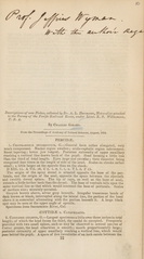 Descriptions of new fishes collected by A.L. Heermann, naturalist attached to the survey of the Pacific Railroad route under Lieut. R.S. Williamson, U.S.A