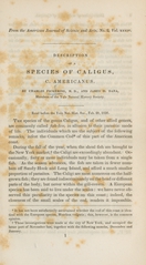 Description of a species of Caligus, C. americanus