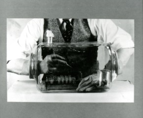 [Typhoid culture inside an isolation jar]