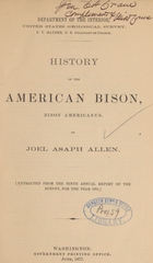 History of the American bison: Bison americanus