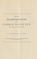 On the transformations of the common house fly: with notes on allied forms