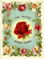 The rose without thorns