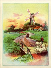 Preparación de Wampole: [windmill]