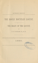 The Rocky Mountain locust: the brain of the locust
