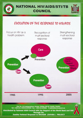 National HIV/AIDS/STI/TB Council: evolution of the response to HIV/AIDS