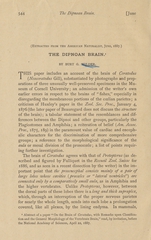 The dipnoan brain