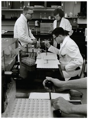 [Drs. Meyer and Parkman and Scientist Hope Hopps working in rubella research lab]