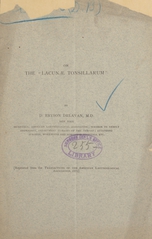 On the "lacunae tonsillarum"
