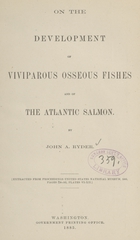 On the development of viviparous osseous fishes and of the Atlantic salmon