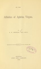 On the affinities of Aphriza virgata