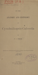 On the anatomy and histology of Cymbuliopsis calceola