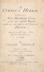 A curious herbal: containing five hundred cuts, of the most useful plants, which are now used in the practice of physick : engraved on folio copper plates, after drawings taken from life (Volume 2)