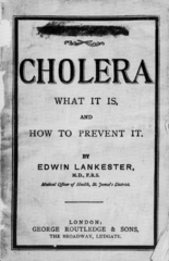 Cholera: what is it? and how to prevent it
