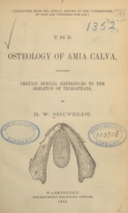 The osteology of Amia calva: including certain special references to the skeleton of Teleosteans