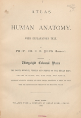 Atlas of human anatomy: with explanatory text