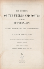 The position of the uterus and foetus at the end of pregnancy: illustrated by sections through frozen bodies