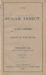 The sugar insect: "Acarus sacchari", found in raw sugar