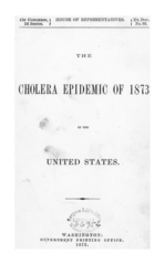 Cholera epidemic of 1873 in the United States