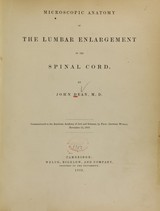 Microscopic anatomy of the lumbar enlargement of the spinal cord