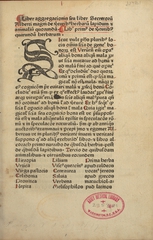 Liber aggregacionis, seu Liber secretoru[m] Alberti magni de [vir]tutib[us] herbaru[m], lapidum [et] animaliu[m] quorunda[m]