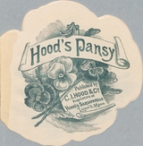 Hood's pansy